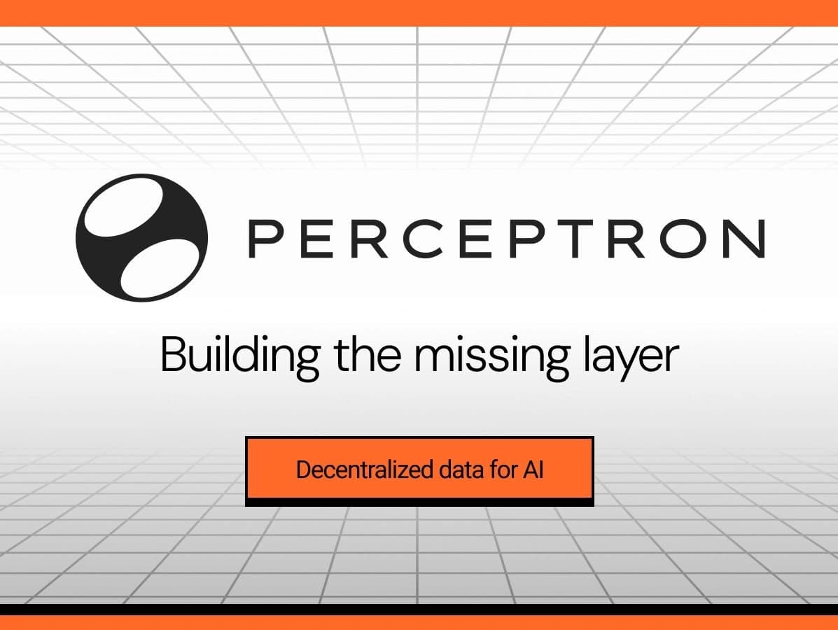 perceptron-network
